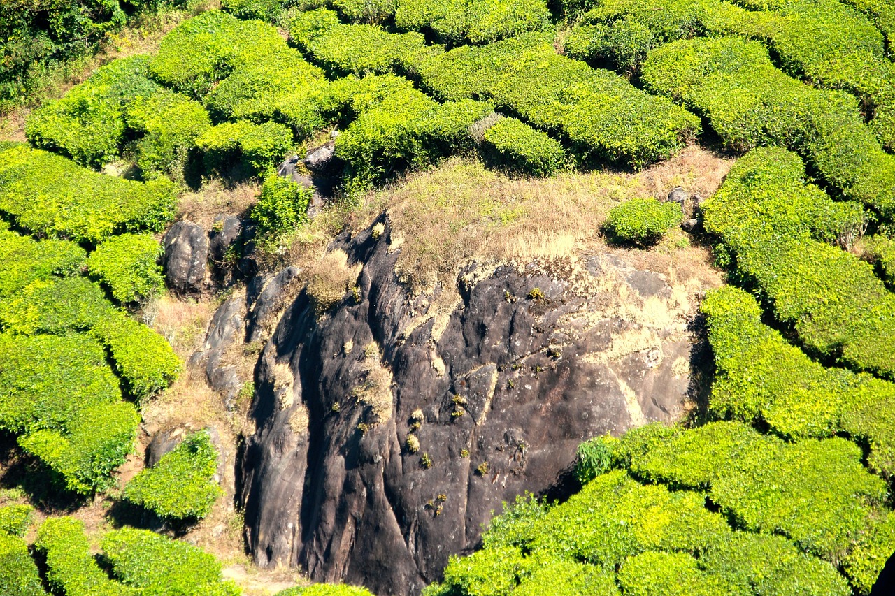 Health and Safety Management