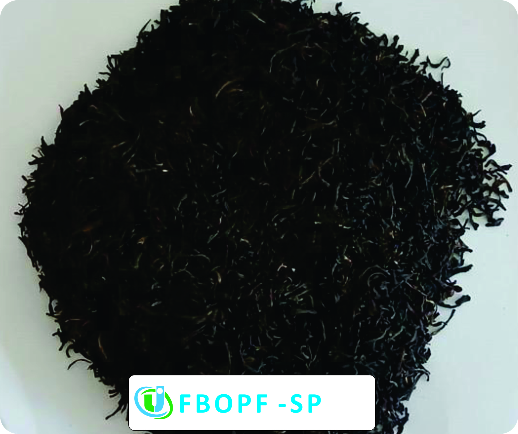 Types of Tea Orthodox Black Tea