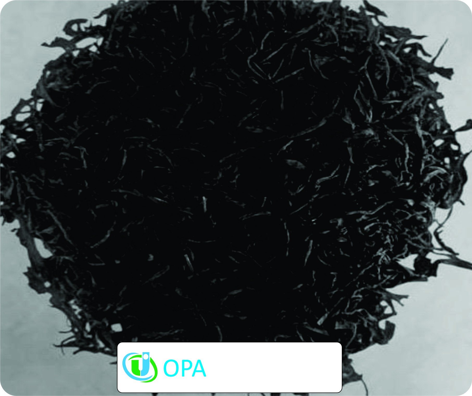 Types of Tea Specialty Herbal Blends