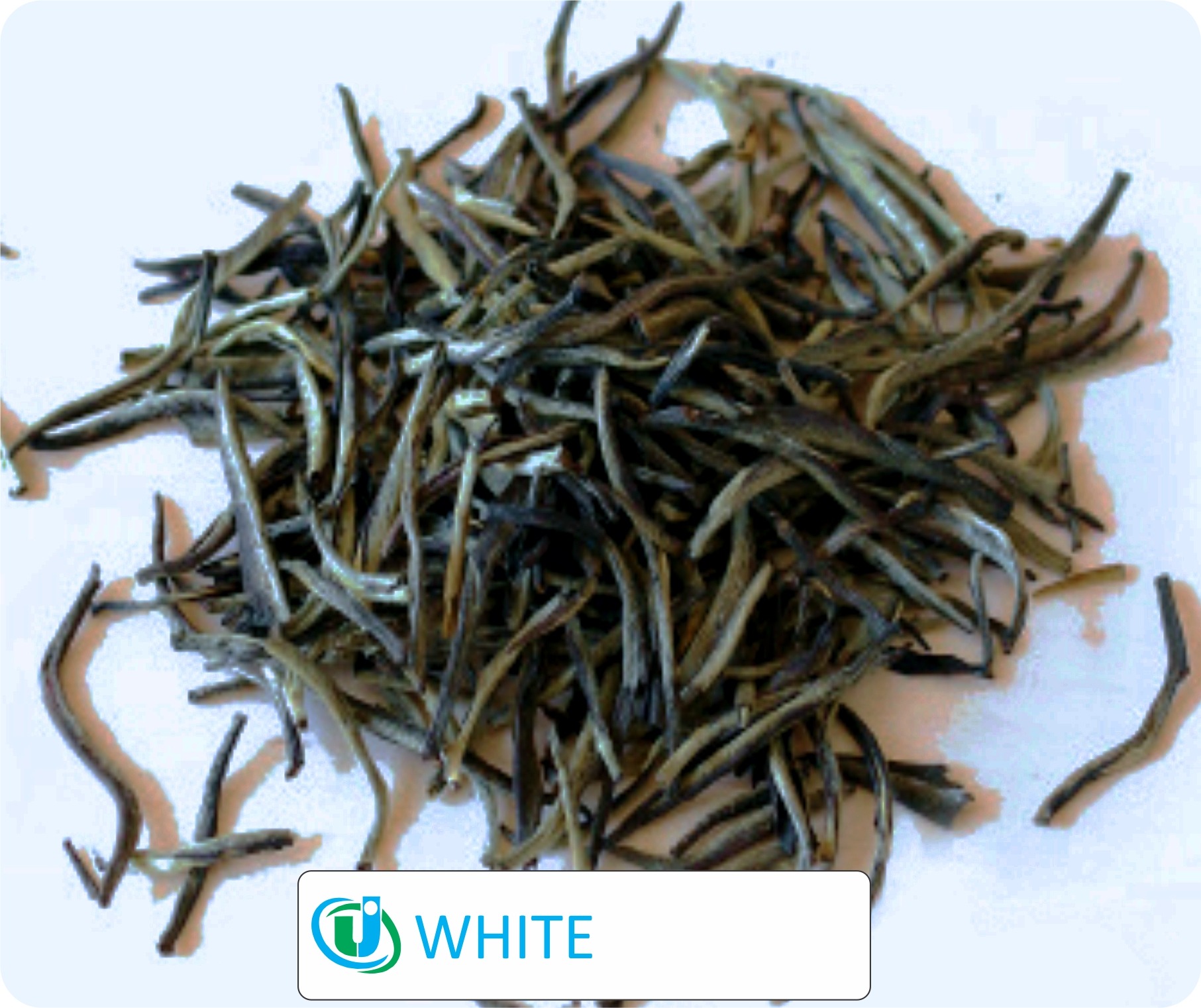 White Tea