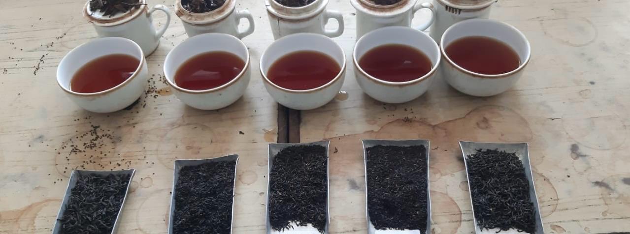 WhatsApp Image 2025 12 08 at 7.41.57 PM